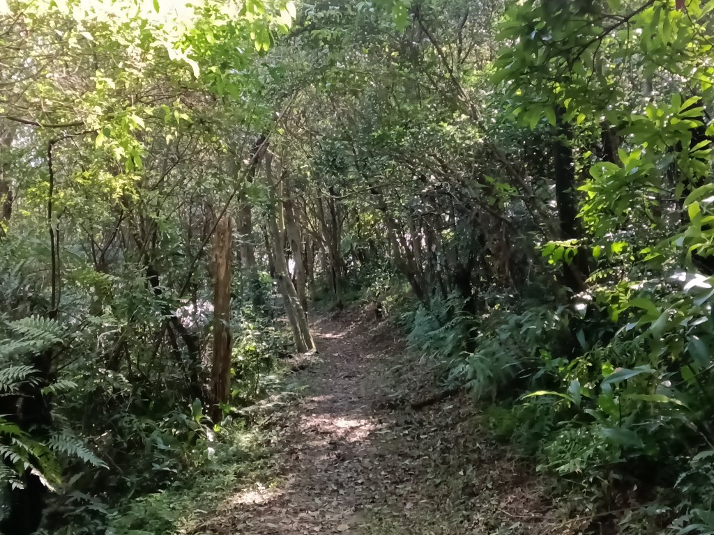 基隆市/萬里區界寮縱走之三界山+三界山西峰+開眼尖山+七分寮山+瑪七產道山泉水接水亭_2979607