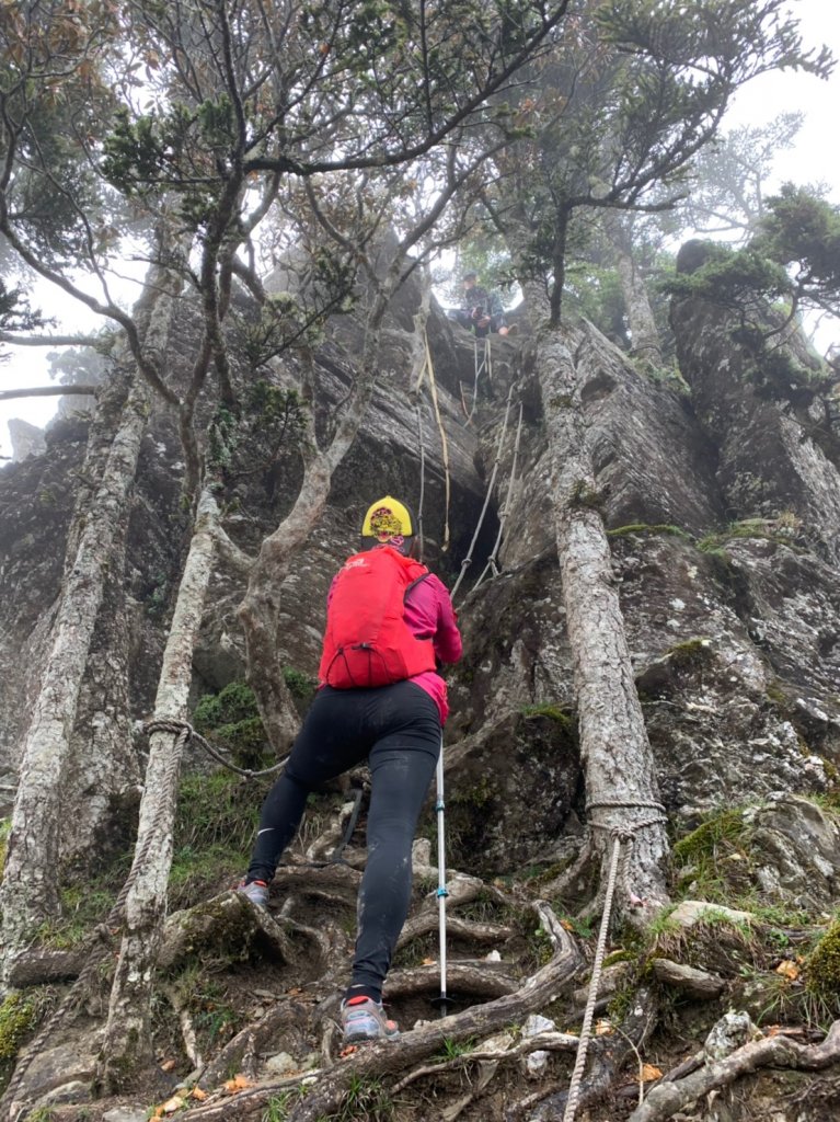 一日畢羊縱走_655451