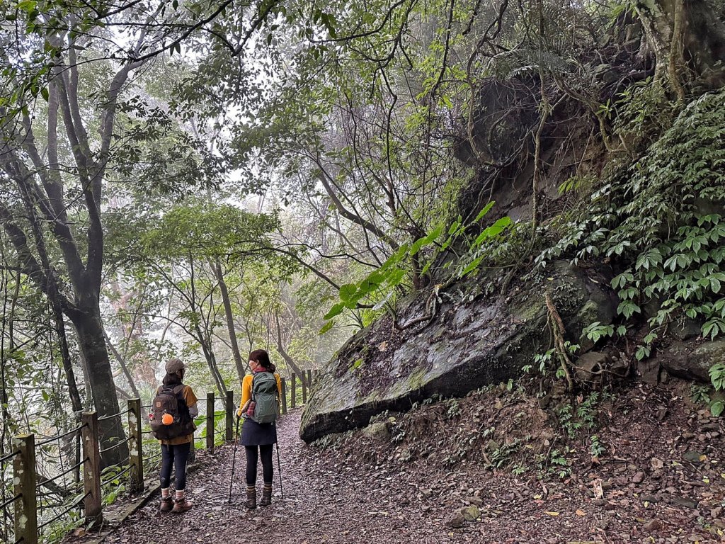 馬胎古道 南坪古道 內灣老街_2027098