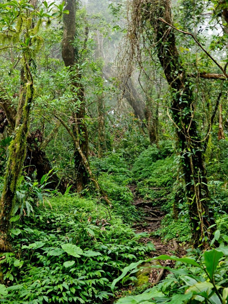 都蘭山-小百岳#93-台東縣東河鄉_2779400