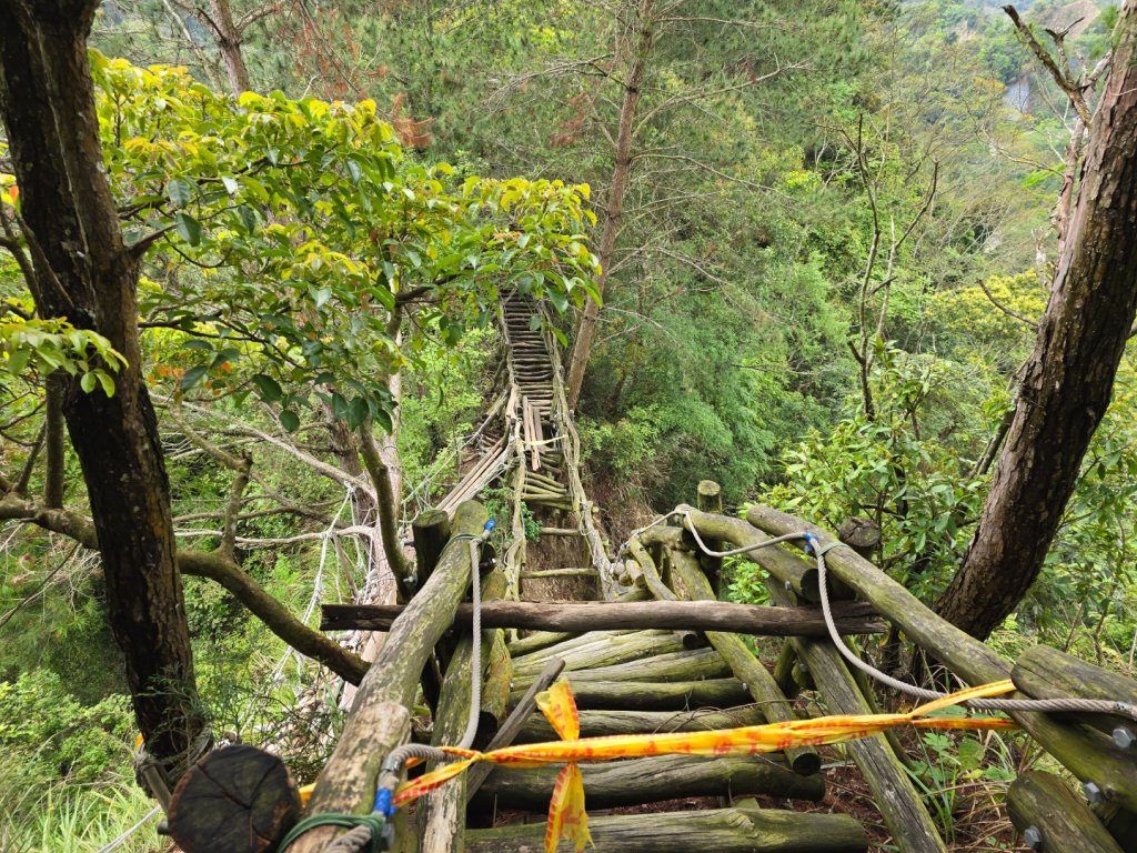 台中大坑4號登山步道_2751099