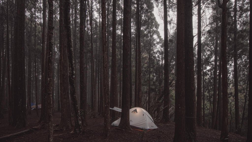 天雨中的第一次親子野營 - 高台山衫木營地_1617447