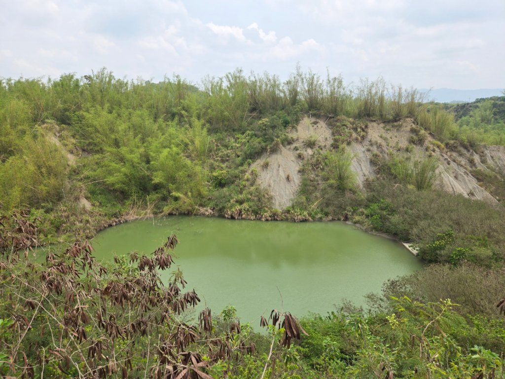 2025-04-07 左鎮後坑古道（牛港嶺）_2757654