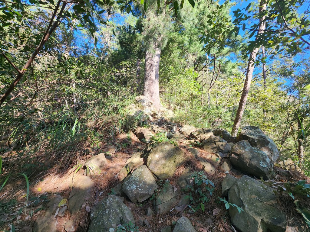 20241013東南稜上東卯山_2670978