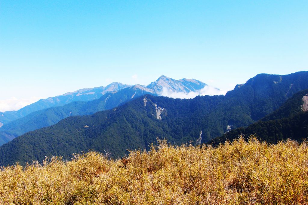 閂山、鈴鳴山 ~ 山巔雲端 , 與美麗山林_307239
