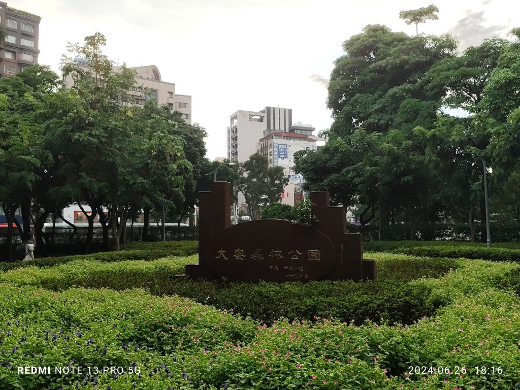 大安森林公園、寧夏夜市、士林夜市【走路趣尋寶】【臺北健走趣】_2536358