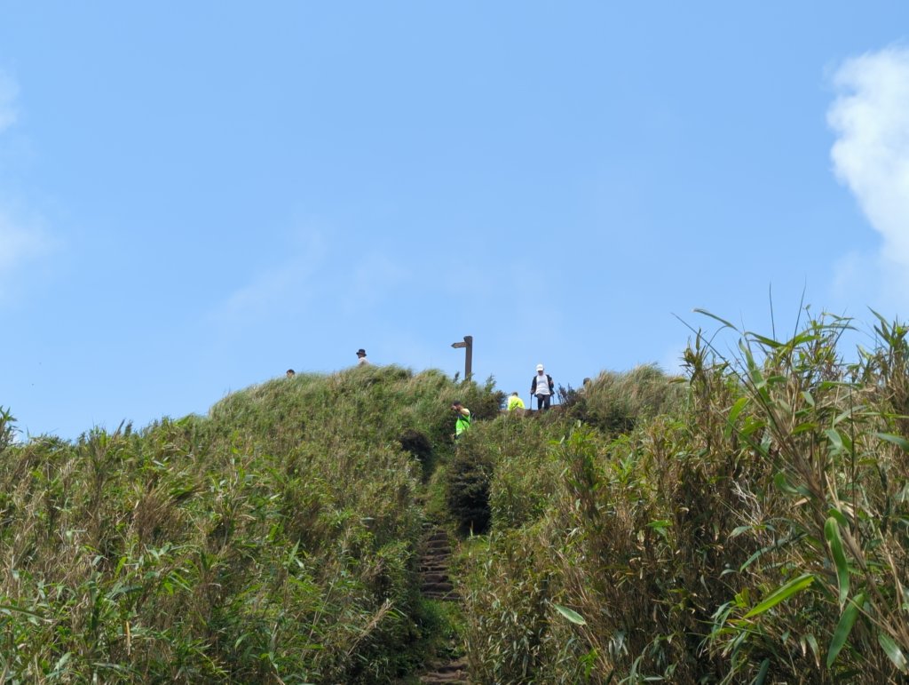 2025.04.27－金包里大路~小油坑縱走_2770968