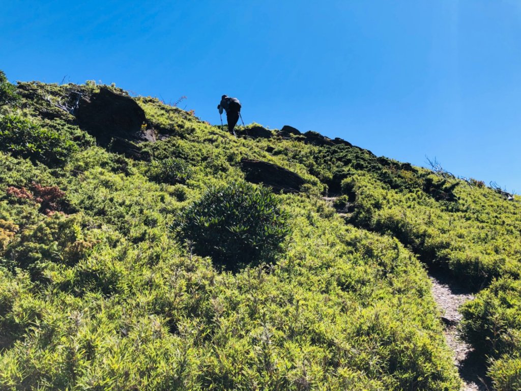 1091003哈哈山/石門山北峰_1118387