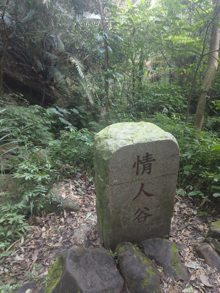 2025.11.15－鳴鳳古道_2943019