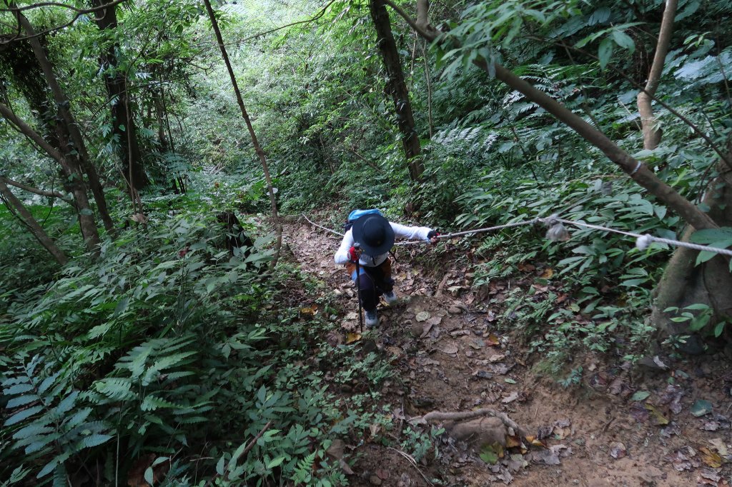 雙石縱走_2771161