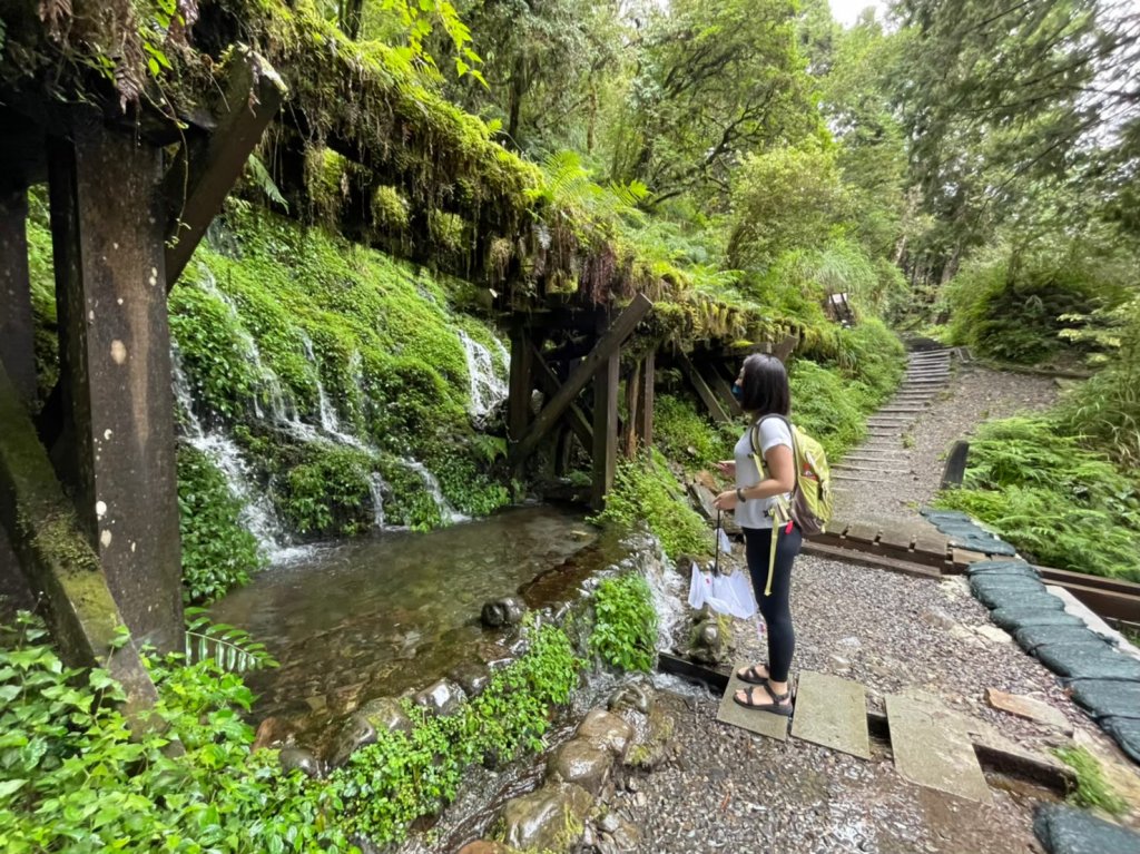 宜蘭｜大同 見晴懷古步道_1487914