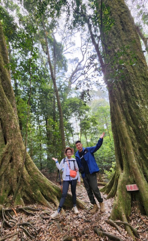 【中級山縱走】最美中級山，鳶嘴西稜縱走（鳶嘴山，醜崠山，長壽山）_2741356
