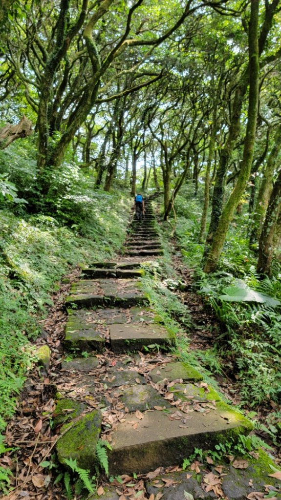 西進陽明山-20240504_2600725