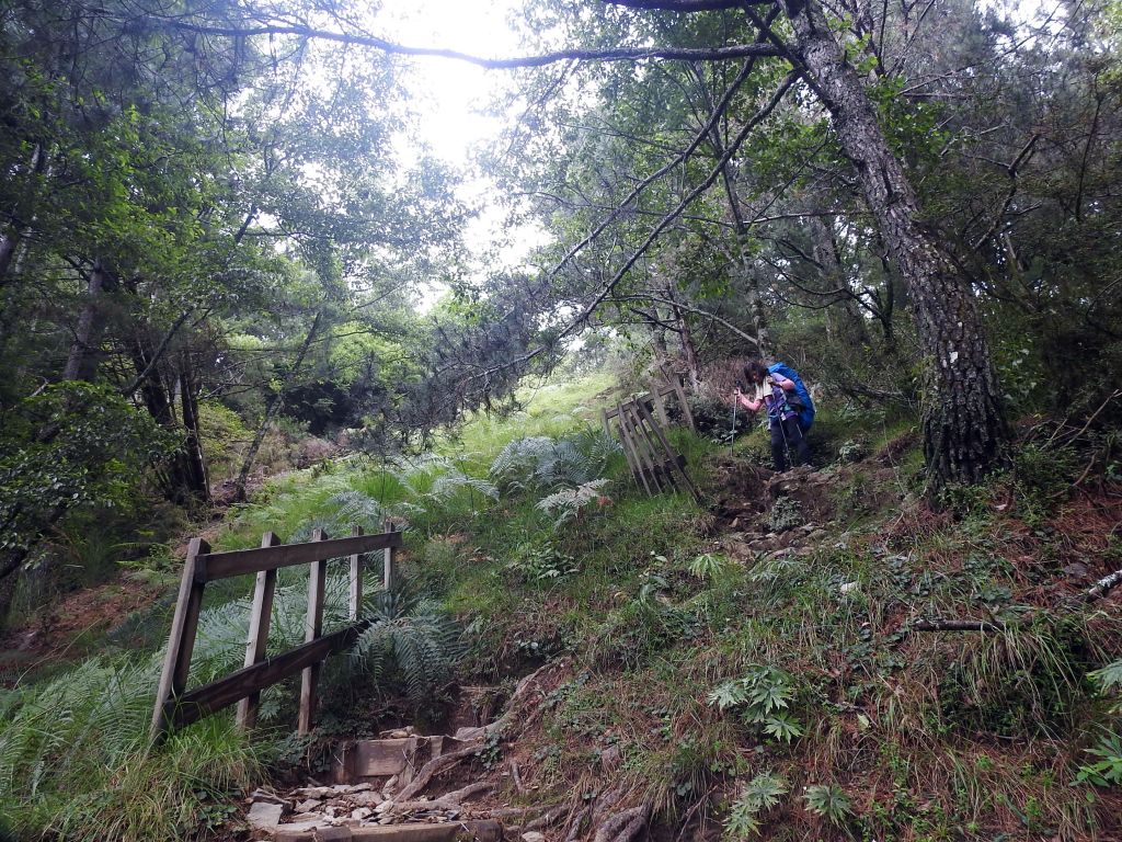 20180819雨中登頂之桃山日出_392471