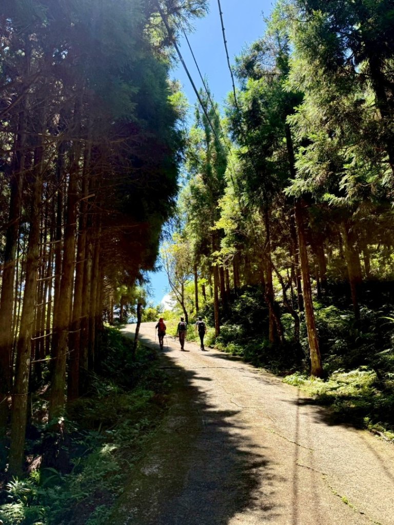 民都有山封面圖