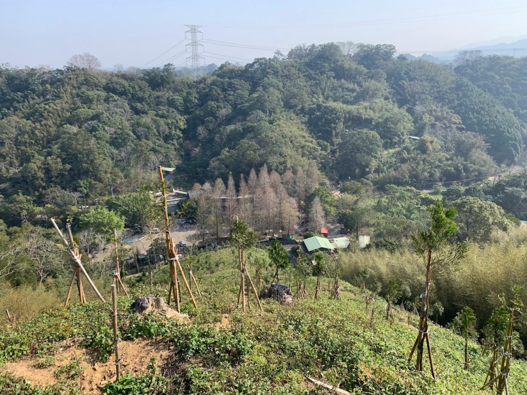 十二寮登山步道20230228_2045371