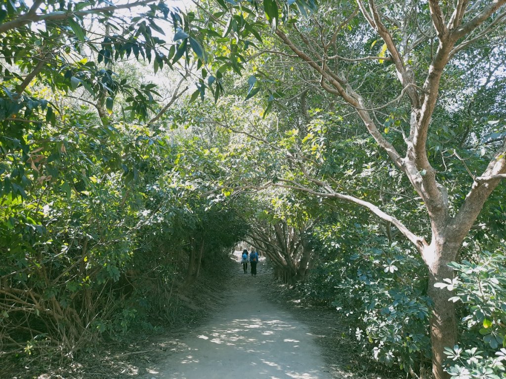 《台中》大肚萬里長城步道O巡20210110_1233636