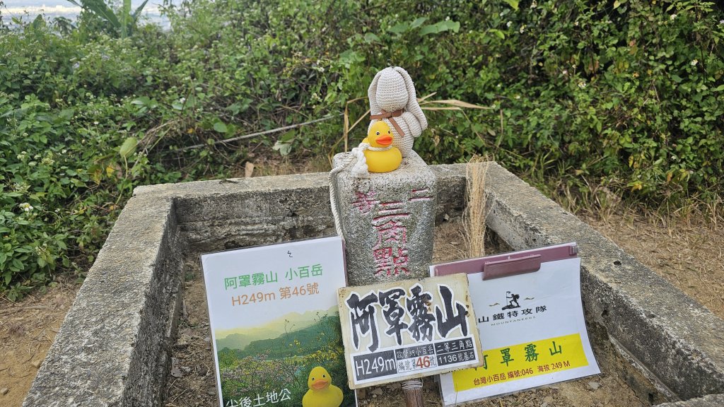 241213-小百岳#046阿罩霧山。美美兔的母校後山就是小百岳。封面圖