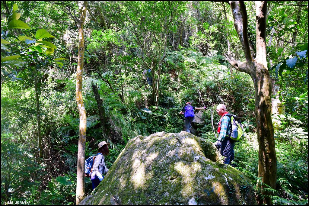 直擊 五寮尖山 の 仲夏岩場_376684