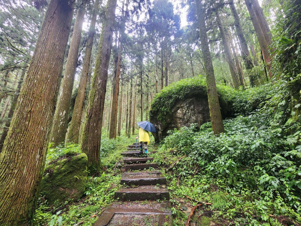 20250719頂湖上大凍山_2907130