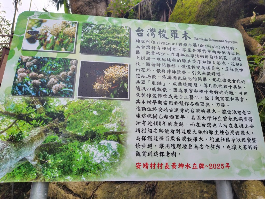 安靖古道_2753529