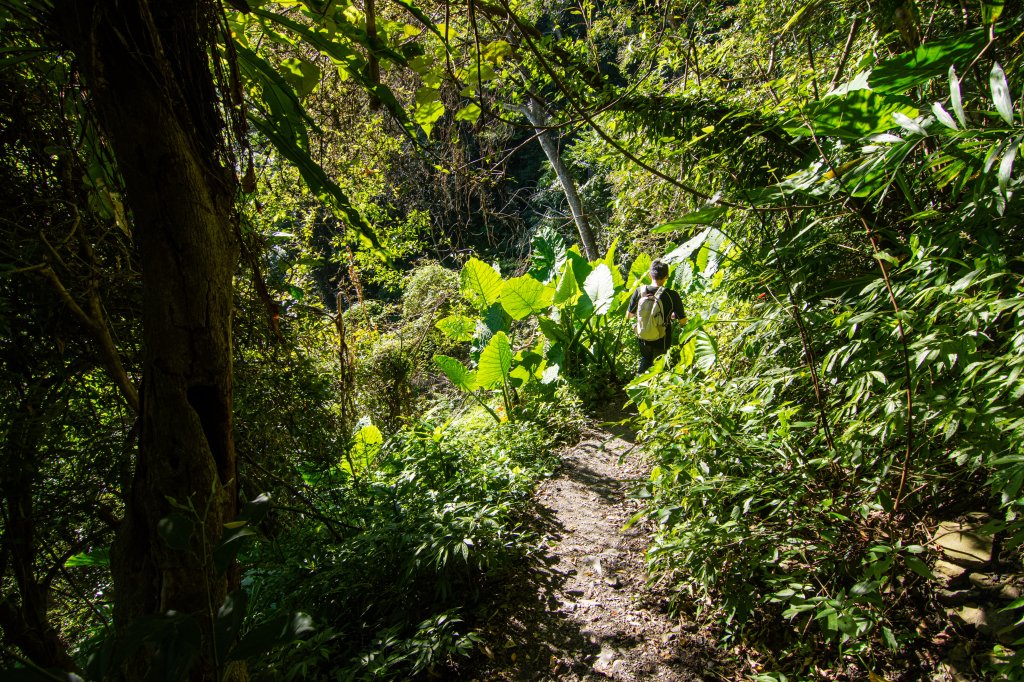 谷關七雄(老么)唐麻丹山/蝴蝶谷_1774249