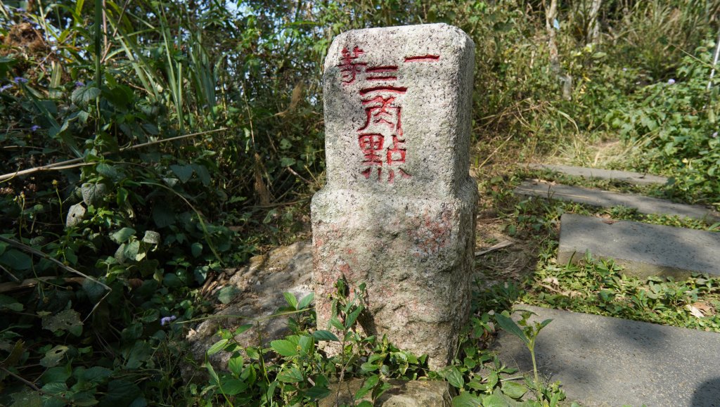 九份二山_2353352