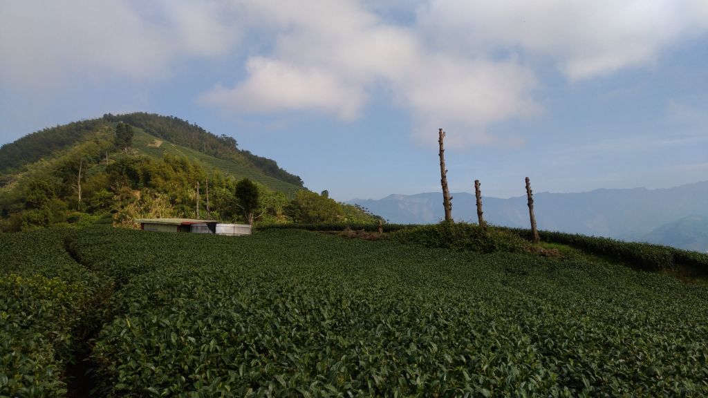 雲嘉五連峰_222258