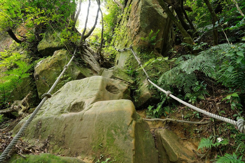 臺北 文山 指南山、猴山岳、魚衡山、大前坑山、猴山坑山、祥光寺後山、金頭山_2774975