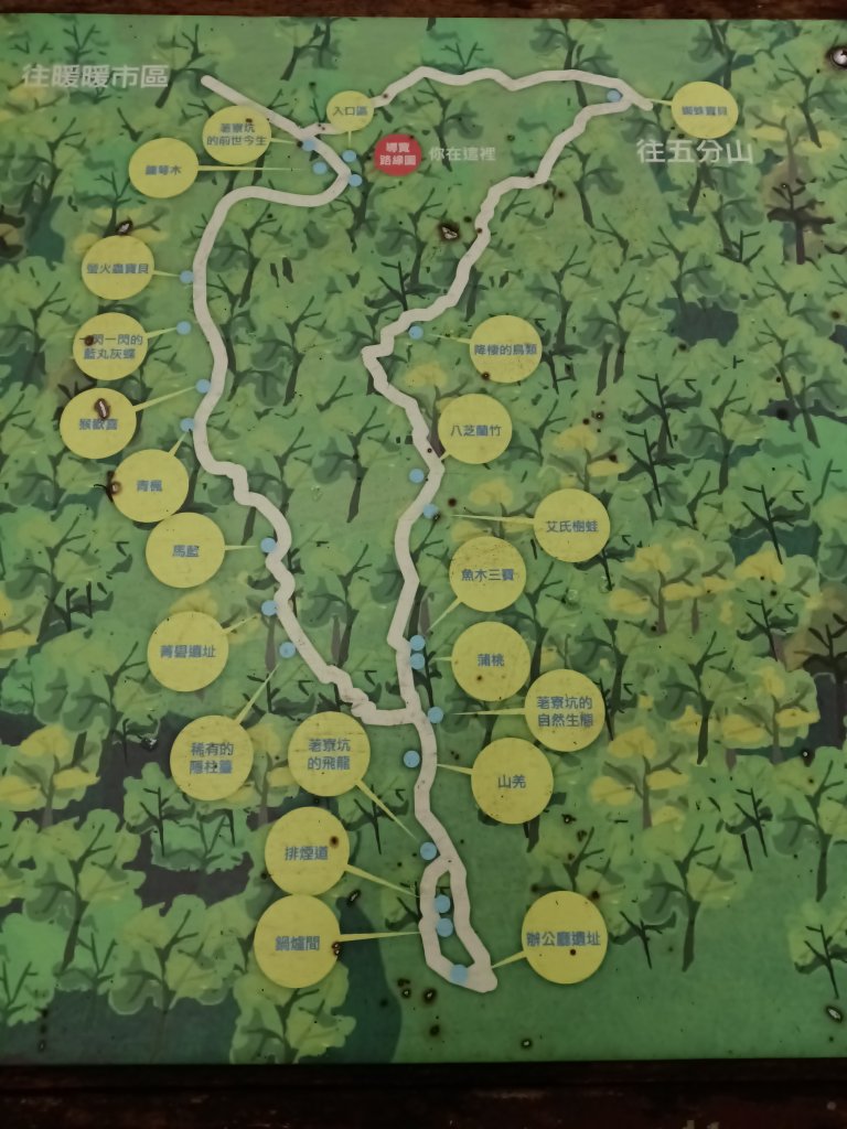 基隆市荖寮坑古道+十分古道(暖東舊道)+頂子寮山(嶺頭土地公)P字走_2821490