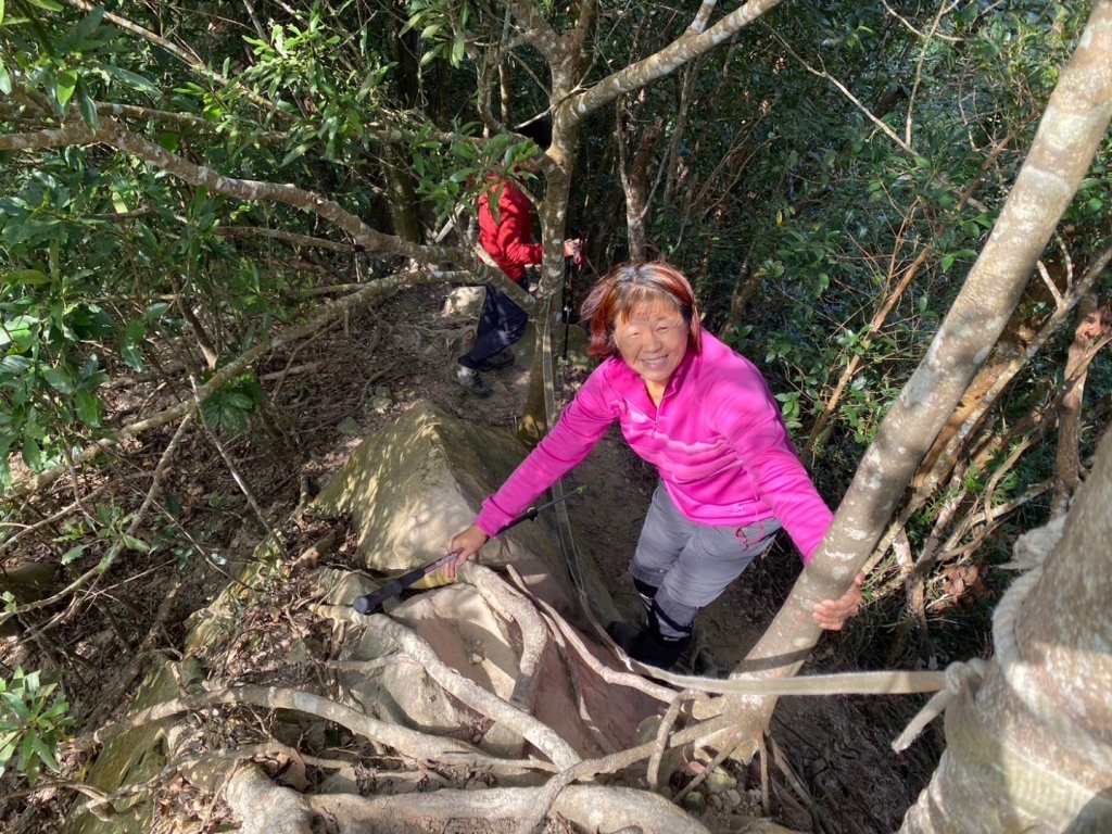 苗栗金童山、玉女山、汶水山_2672905