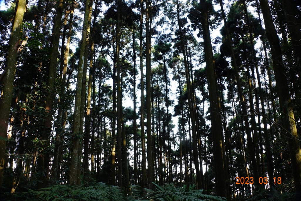 新竹 關西 馬武督山、蓮包山_2076574