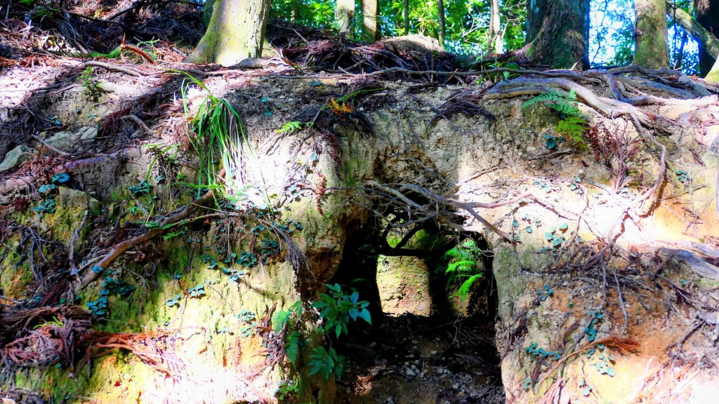 油羅山(一上三下)_2959131