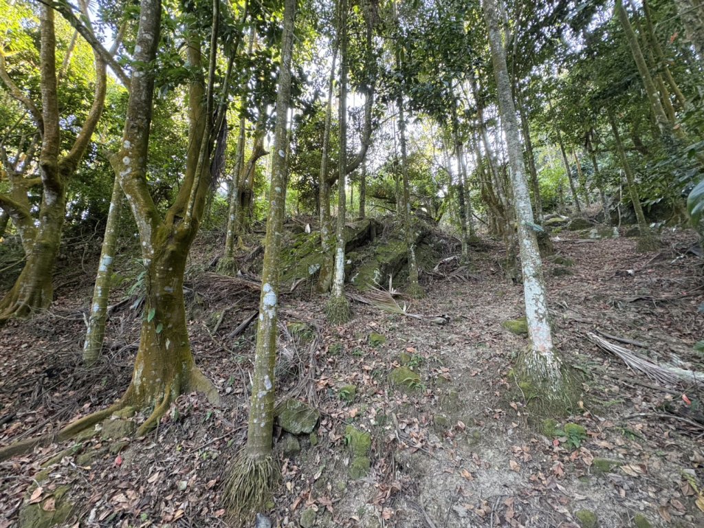 20251123台南－獵鷹尖一線天步道_2944580