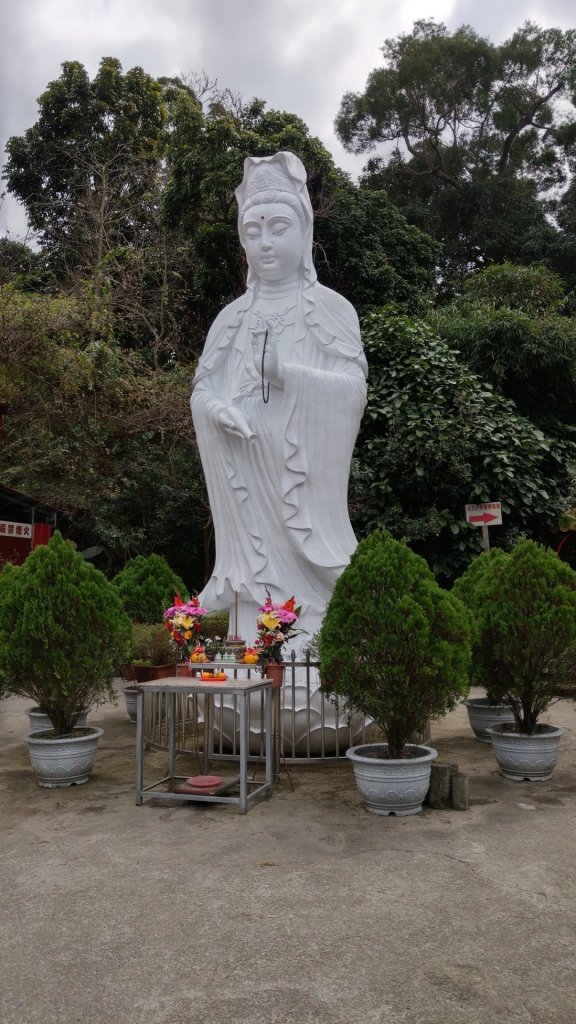 大坑9號9-1步道_819544