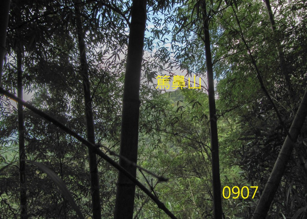 竹崎九連環天王風華再現~雲嘉連峰2.0版_1106590