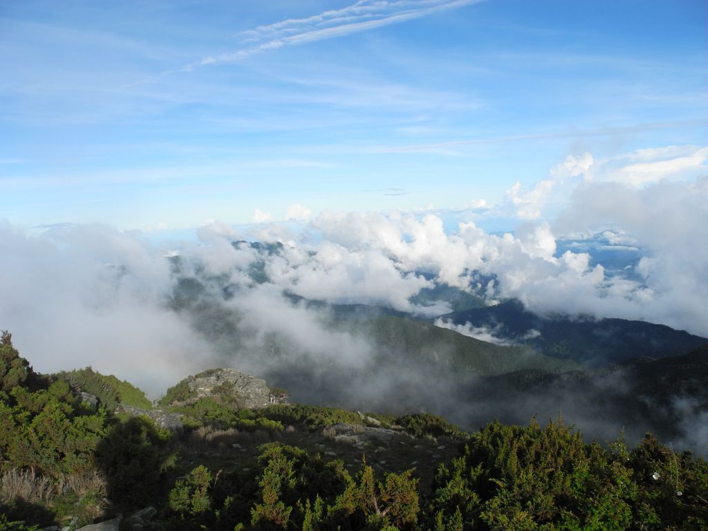 向陽山封面圖