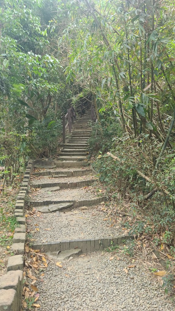 2025-0208聚興山小百岳_2710865