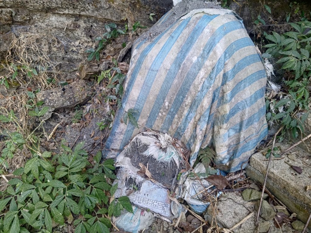 回歸自然的山羊古道_2678648