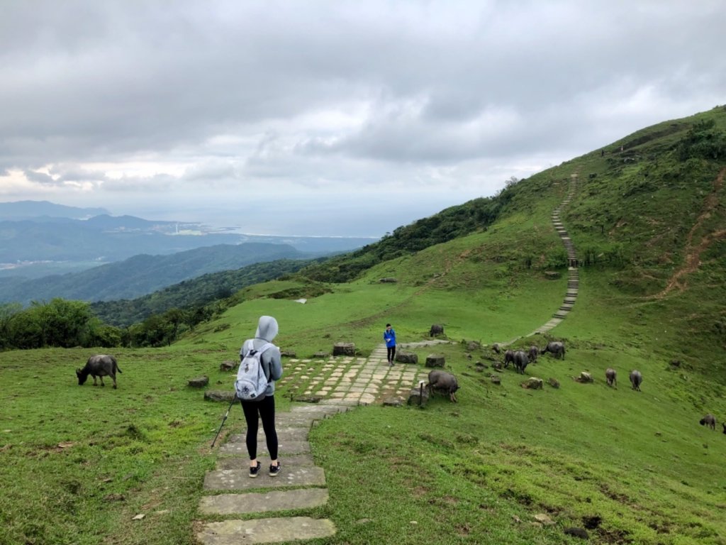 1080405桃源谷-大里_564418