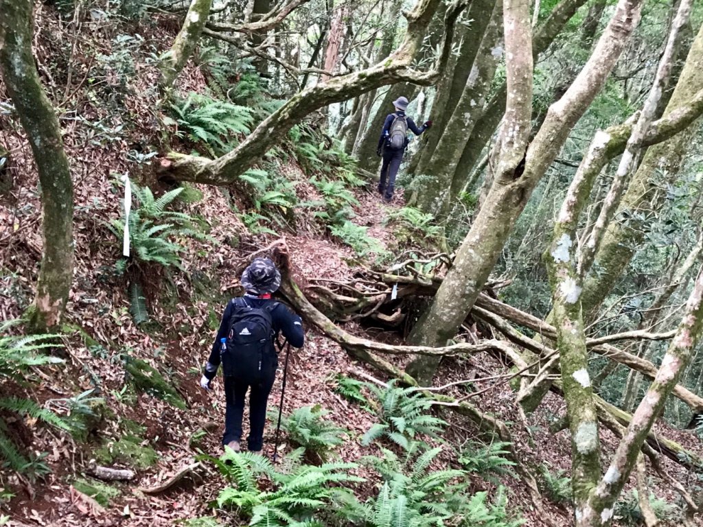 李崠山環走馬望曾呂山_663801