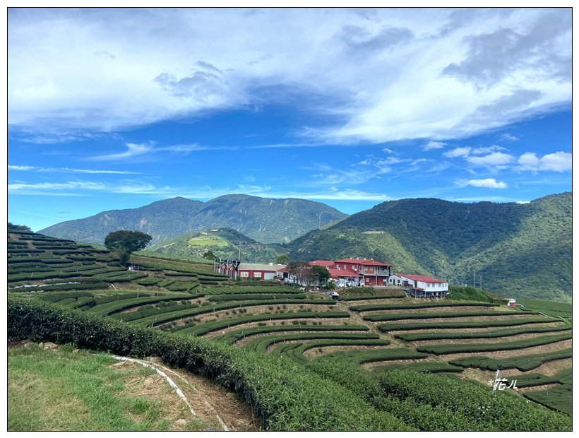 眉溪山茶園秘境_2612541