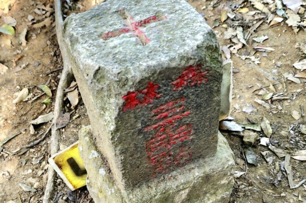 【中級山縱走 】向天湖山，三角湖山，光天高山_2742260