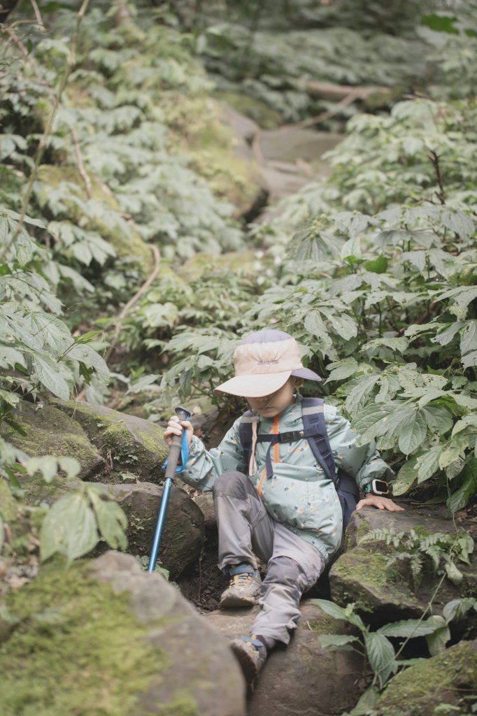 悠遊五指間-新竹五指山五連峰_2039407