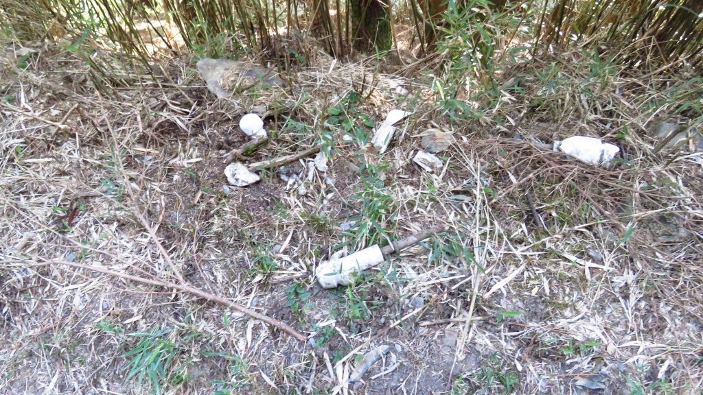 超越自我奇萊南華行_24238