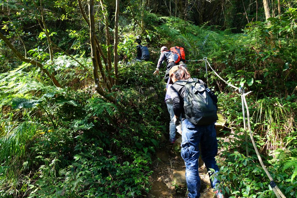 五寮尖 O型 2018.02.18_294497