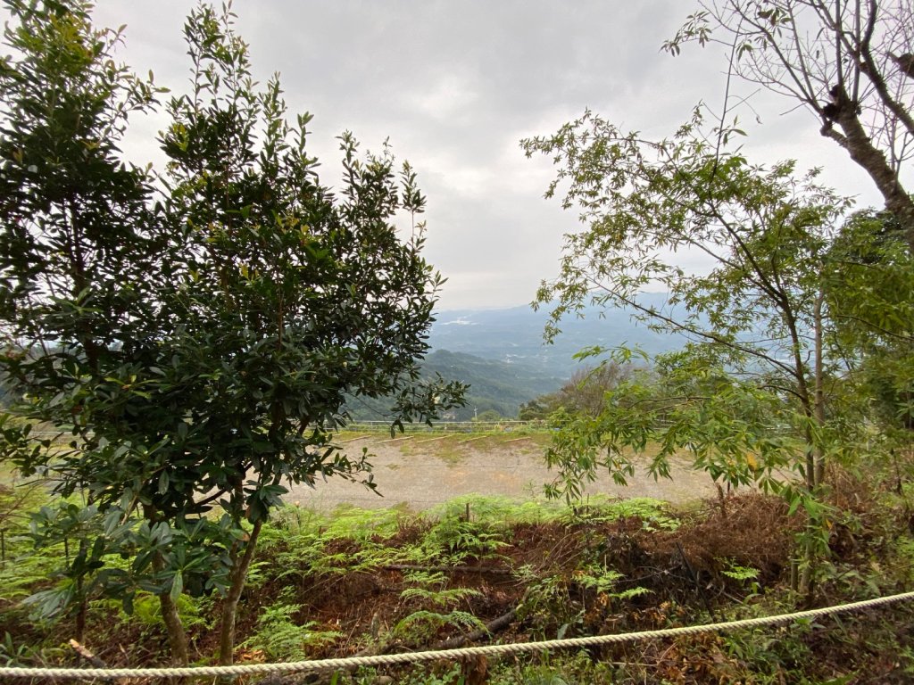 037苗栗泰安-馬那邦山_2604657