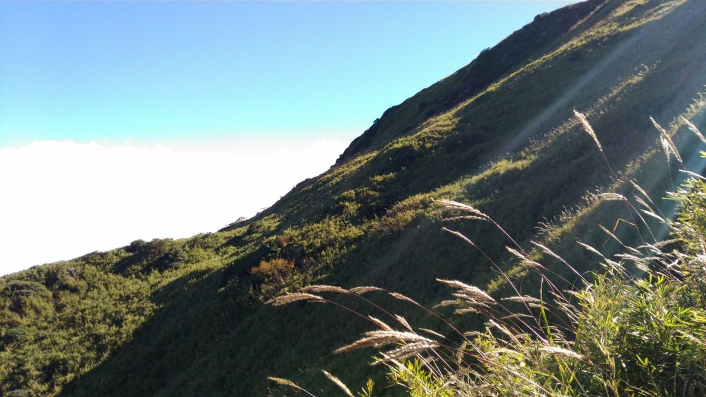 合歡山百岳入門_299789