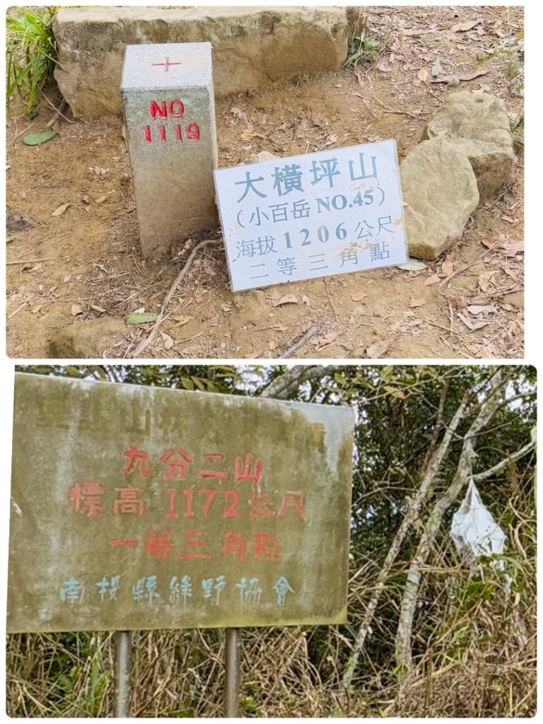 走大橫屏山九份二山(小百岳#45、47)賞梅去封面圖