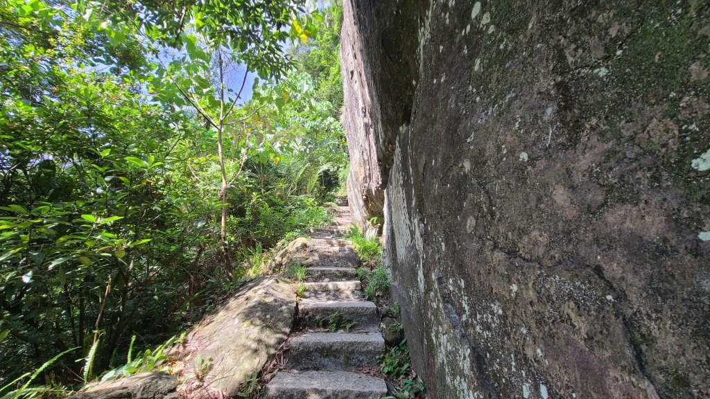 新店獅頭山步道_1066622